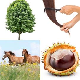 Niveau 2018
